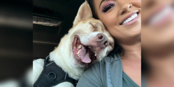 Dog Minutes From Euthanasia Can’t Stop Smiling When He Realizes He’s Finally Safe