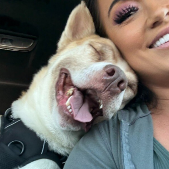Dog Minutes From Euthanasia Can’t Stop Smiling When He Realizes He’s Finally Safe
