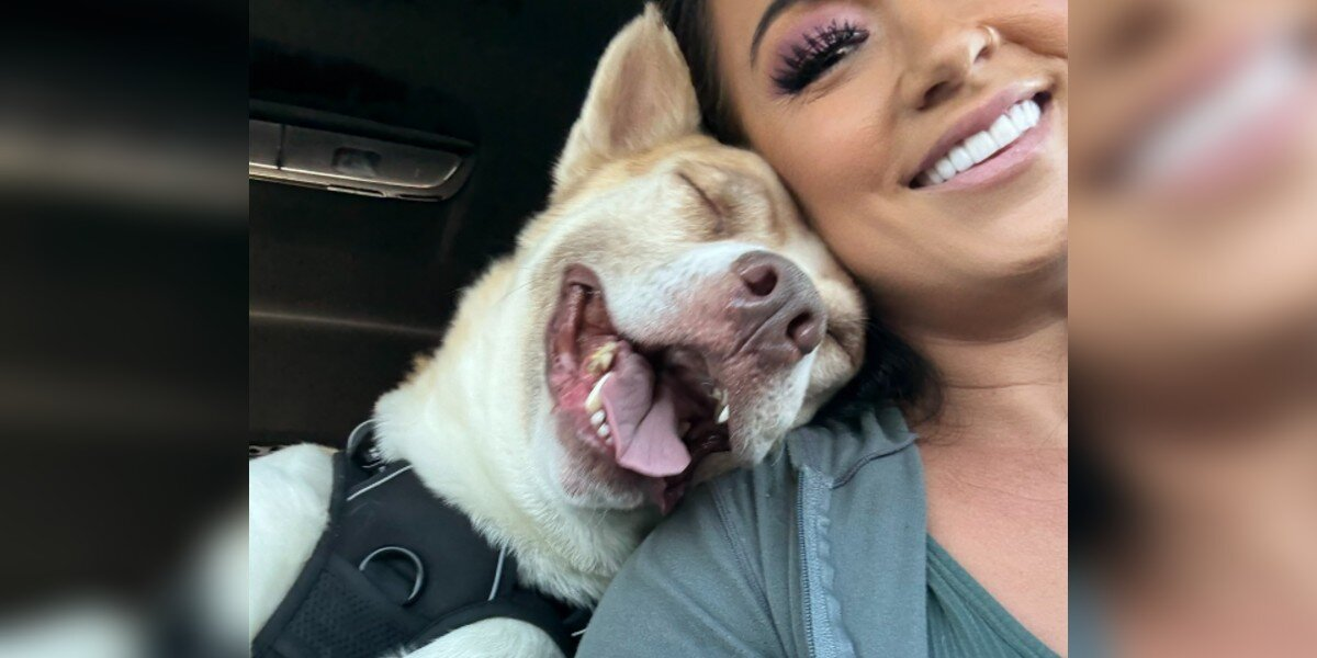 Dog Minutes From Euthanasia Can’t Stop Smiling When He Realizes He’s Finally Safe