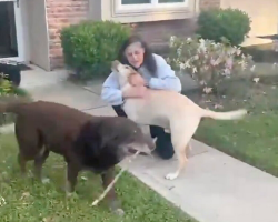 Astronaut Finally Reunites With Her Dogs After Nearly A Year In Space