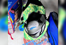 First Grade Teacher Opens Backpack — And Finds A Surprise That Made Her Scream