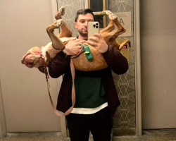 Dog Walker Writes Heartfelt Final Note After Taking Senior Pittie On Her Last Walk