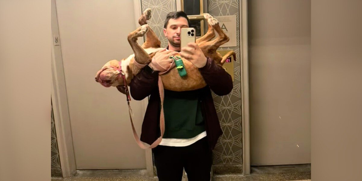 Dog Walker Writes Heartfelt Final Note After Taking Senior Pittie On Her Last Walk