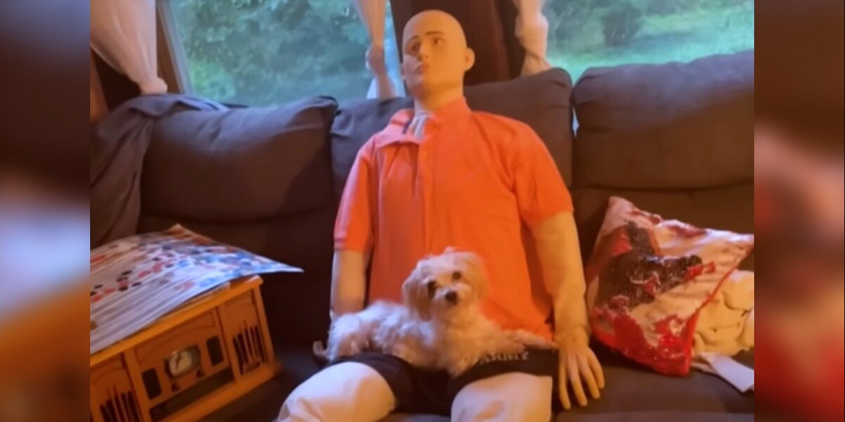 Anxious Little Dog Meets A Creepy Life-Size Doll — And Finds His New Best Friend