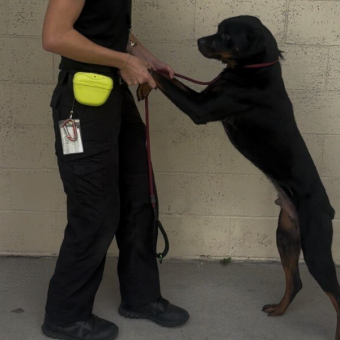 Frightened Shelter Pup Refuses To Leave His Kennel — Unless Someone Holds His Paws