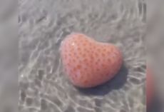 Beachgoer Stumbles Upon a Heart-Shaped Mystery in the Sand — And Scientists Love What She Found
