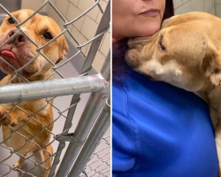 She Begged For A Second Chance — And Everything Changed