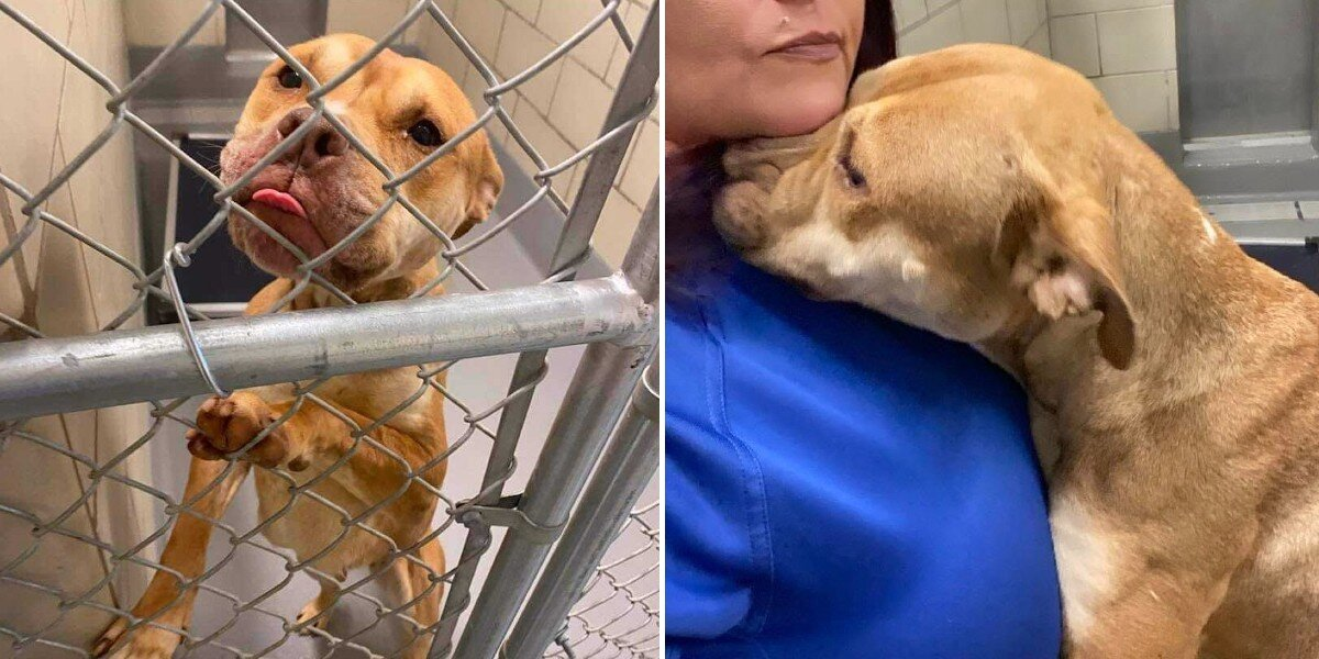 She Begged For A Second Chance — And Everything Changed