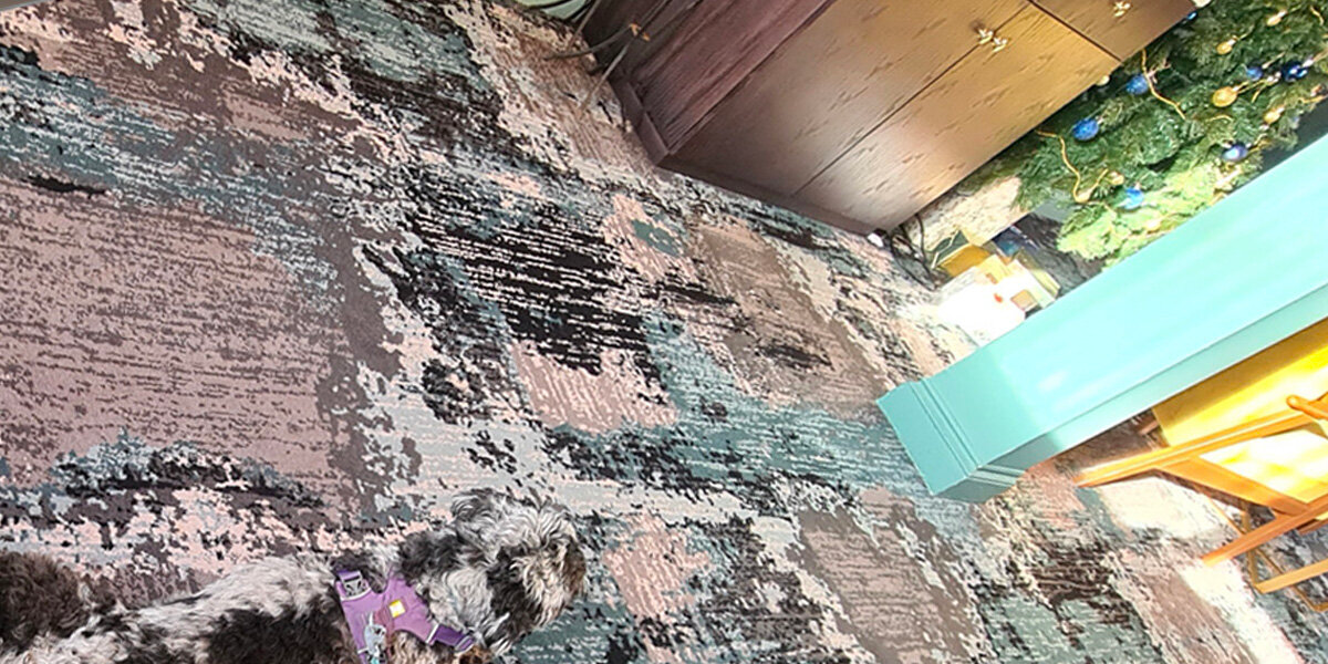 People Are Doing Double Takes Trying To Spot The Dog In This Photo