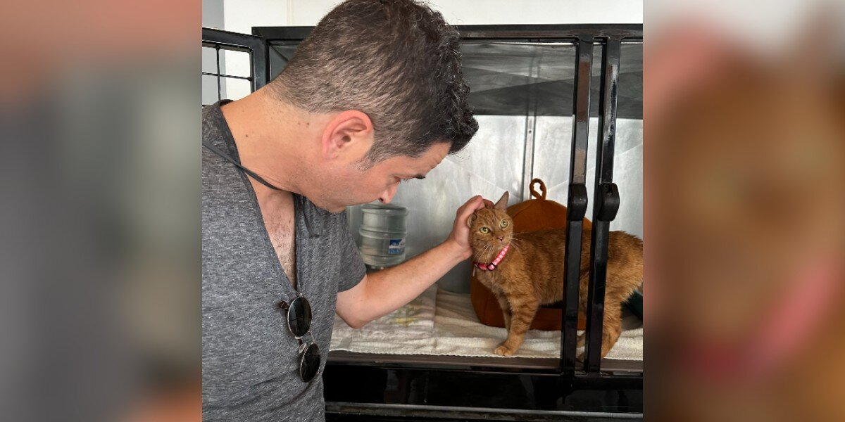 Cat Who Spent 12 Years In A Testing Lab Finally Gets Something She’s Never Had — A Name