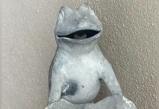 Woman Comes Home From Work — And Realizes Her Frog Statue Isn’t Exactly What It Seems