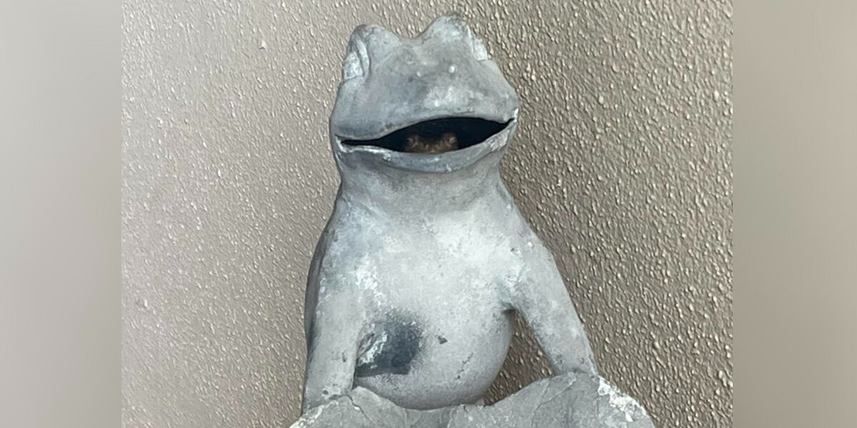 Woman Comes Home From Work — And Realizes Her Frog Statue Isn’t Exactly What It Seems