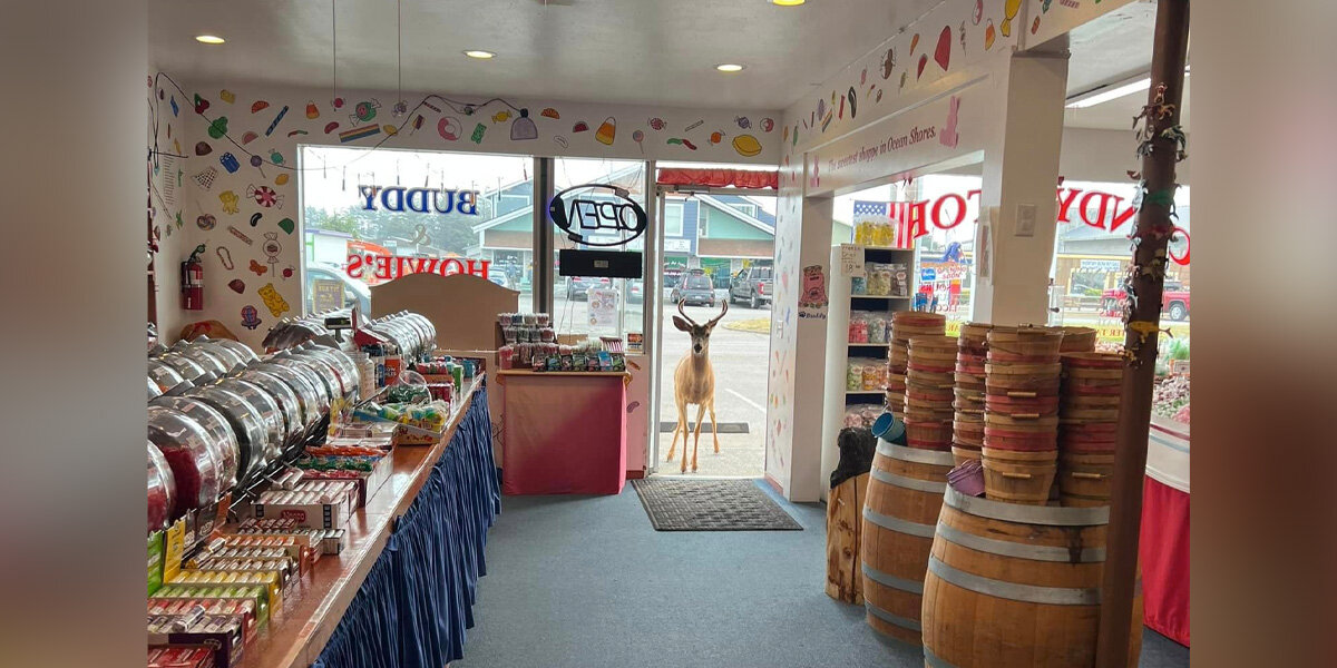 Candy Shop Owner Can’t Believe Who Walks In To Browse The Taffy