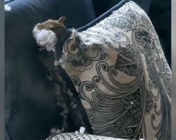 Australian Man Can’t Believe What He Finds Living On His Patio