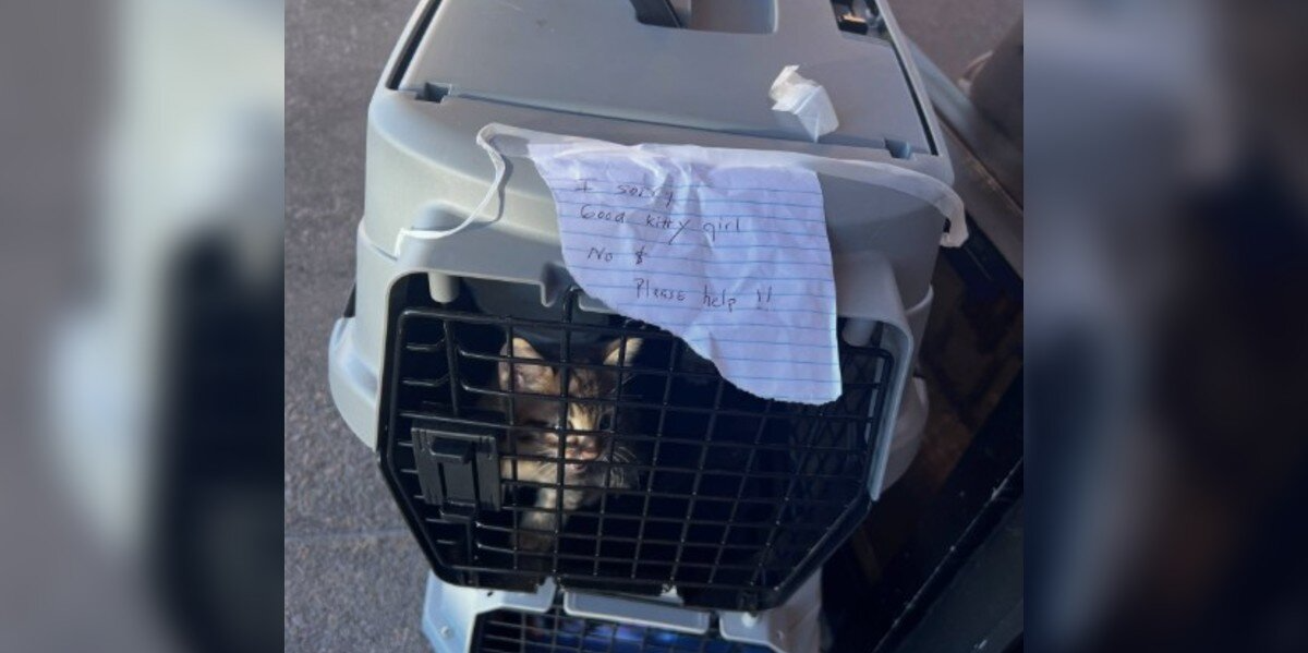 Little Family Found Crying From Stacked Carriers — With Nothing But a Handwritten Note
