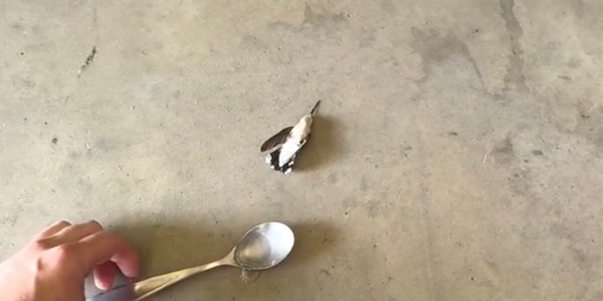 Firefighter Spots Tiny Lifeless Body On The Ground — Then Realizes What’s Really Wrong