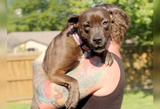 Foster Dog Too Afraid To Walk Finds A Family Who Teaches Her How To Trust Again