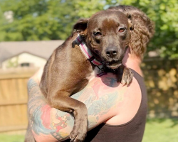 Foster Dog Too Afraid To Walk Finds A Family Who Teaches Her How To Trust Again