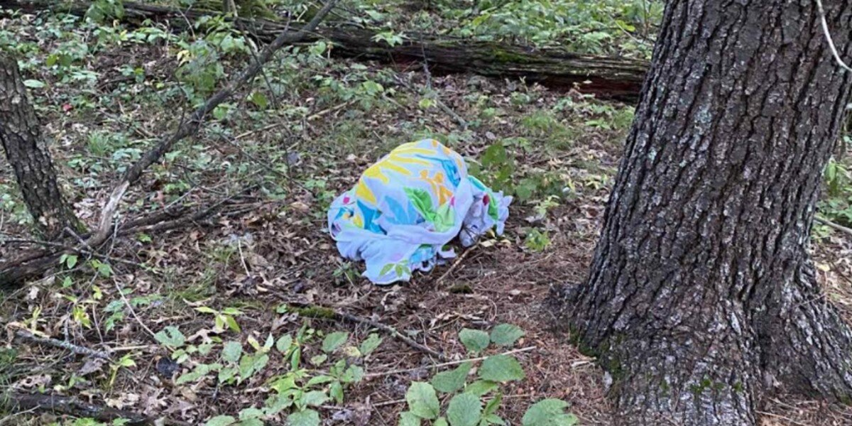 Mushroom Forager Finds Something Strange Under a Towel — Then Realizes Someone’s Trapped Inside