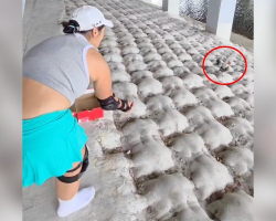 Rollerbladers Hit The Brakes When They Spot A Ball Of Feathers Abandoned Under A Bridge