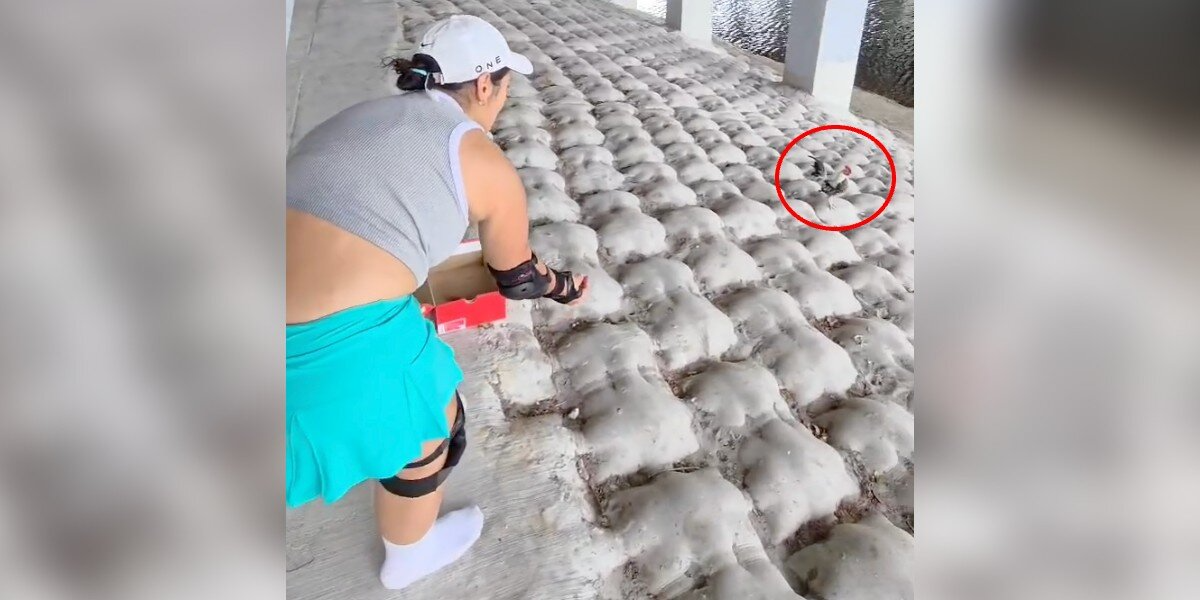 Rollerbladers Hit The Brakes When They Spot A Ball Of Feathers Abandoned Under A Bridge
