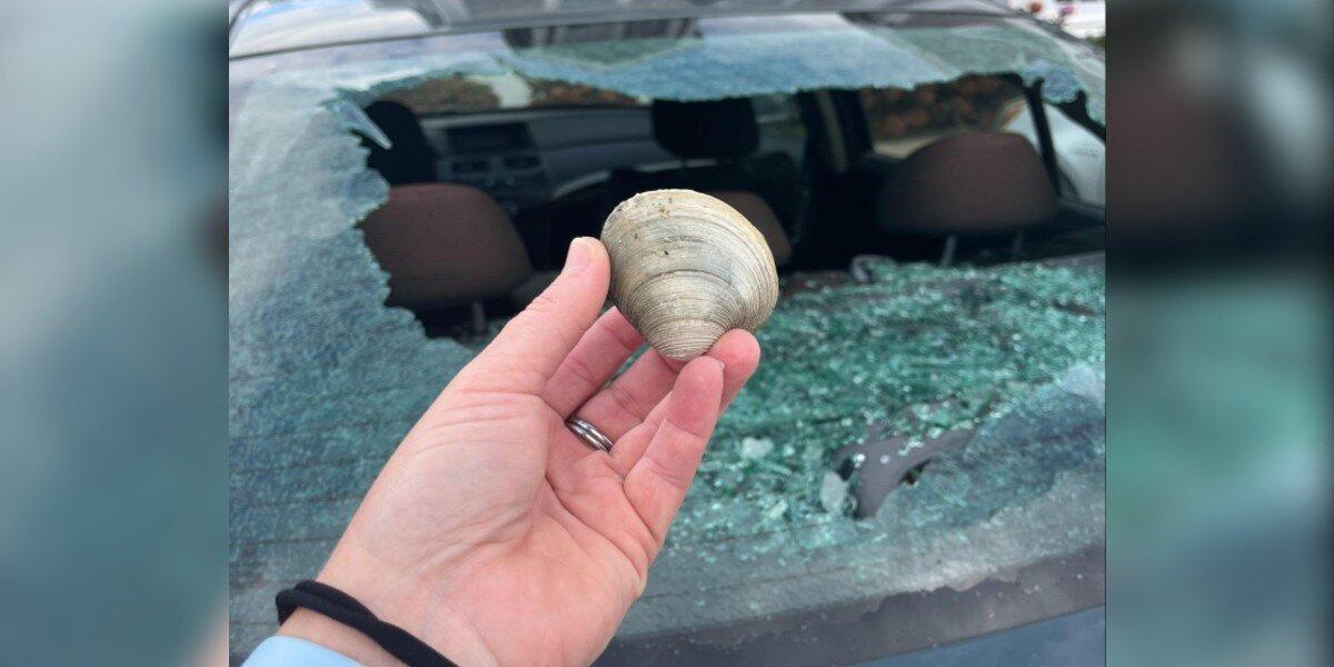 Bakery Owner Finds Car Window Smashed — Then Learns The Hilarious Real Reason Why
