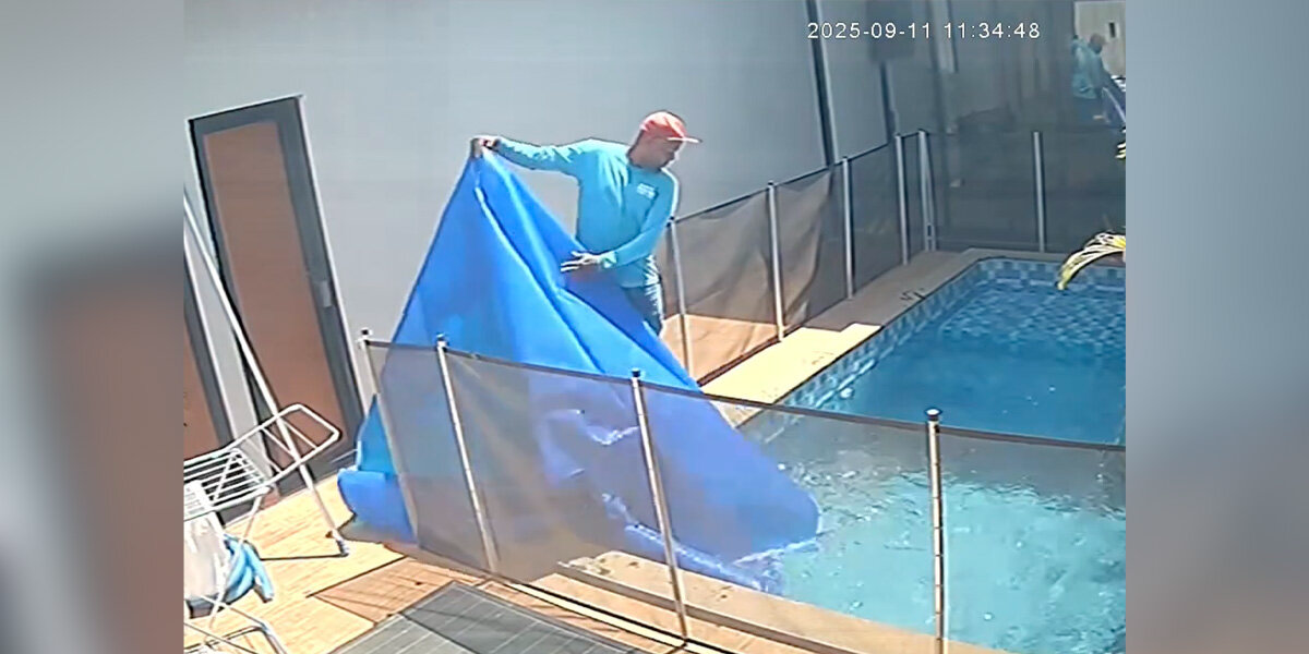 Pool Cleaner Lifts Cover — And Leaps In When He Sees A Dog At The Bottom