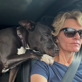 Shelter Dog Comforts Rescuer After Adopter Backs Out At The Last Minute