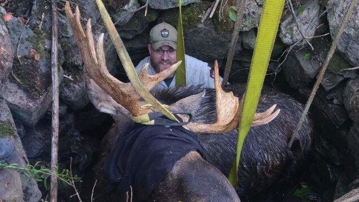 Wardens Pull Massive Moose To Safety After He Falls Into Hidden Well In Maine