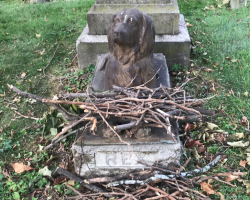 Visitors Keep Leaving Sticks At This 100-Year-Old Dog Grave — And It’s The Sweetest Tradition