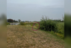 Rescuers Drop Everything To Save Two Abandoned Ducks On A Golf Course