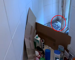 Woman Comes Home From Vacation — And Finds A Family Living In Her Shower