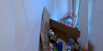 Woman Comes Home From Vacation — And Finds A Family Living In Her Shower