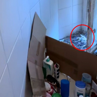 Woman Comes Home From Vacation — And Finds A Family Living In Her Shower