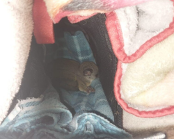 Festival Crew Unload Their Truck — And Discover a Surprise 870 Miles From Home