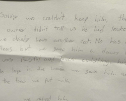 Shelter Worker Finds Abandoned Kitten And The Saddest Little Note Beside Him