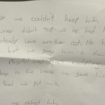 Shelter Worker Finds Abandoned Kitten And The Saddest Little Note Beside Him