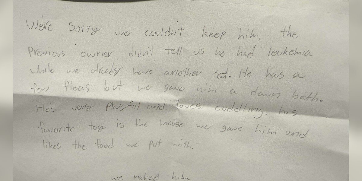 Shelter Worker Finds Abandoned Kitten And The Saddest Little Note Beside Him