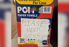 Rescuers Find Box Marked “Please Help” — And Discover Seven Newborn Puppies Inside