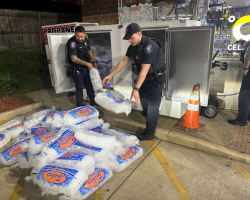 Officers Rush To Haul 1,000 Pounds Of Ice To Save Tiny Kitten Trapped Behind Freezer