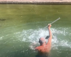 Surfer Leaps Into Tidal Pool To Save The “Puppy Dog Of The Ocean”