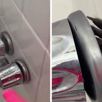 Woman Discovers Tiny Hand Reaching Through Wall — And Finds The Cutest Intruders