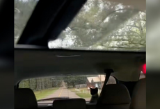 Driver Checks Rearview Mirror — And Can’t Believe Who’s Staring Back At Her