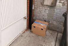 Shelter Manager Finds Sealed Box Hidden Behind Trash Bins — With a Gentle Soul Inside