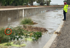 Workers Spot Shivering Pup Trapped In Flooded Canal — And Rush To Save Her