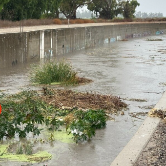 Workers Spot Shivering Pup Trapped In Flooded Canal — And Rush To Save Her