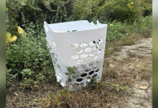 Driver Spots Laundry Basket On Roadside — Then Sees A Tiny Nose Peek Out