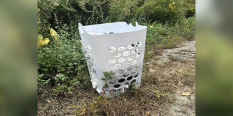 Driver Spots Laundry Basket On Roadside — Then Sees A Tiny Nose Peek Out