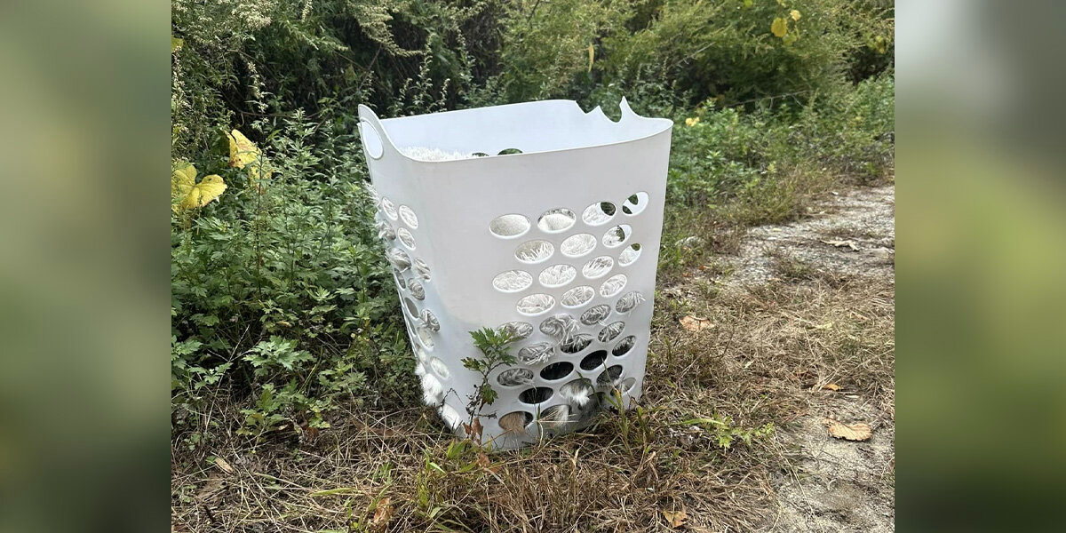 Driver Spots Laundry Basket On Roadside — Then Sees A Tiny Nose Peek Out