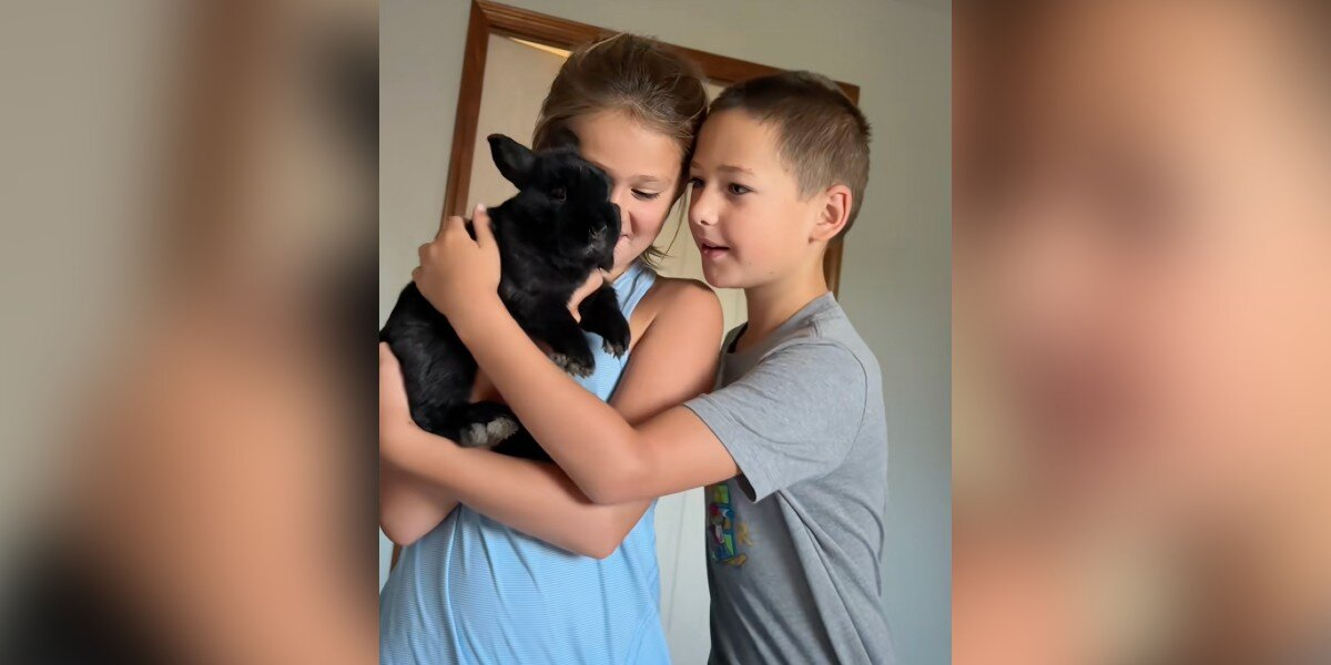 Family Moves Into New Home — And Wakes Up To The Sweetest Surprise In Their Bedroom